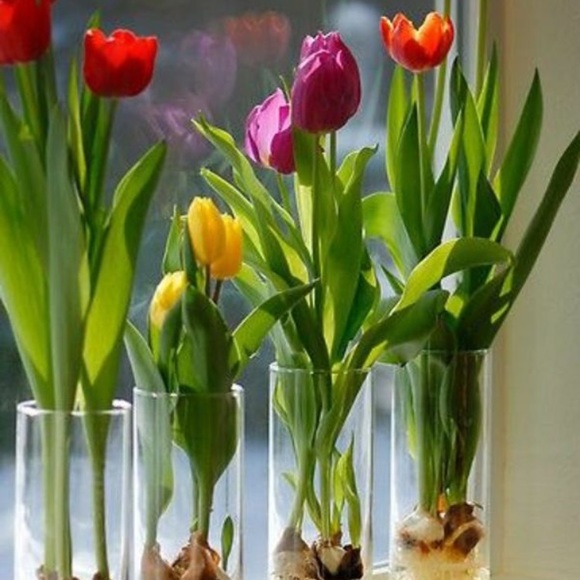 Meet your Posher, Sabine - Picture 1 of 1